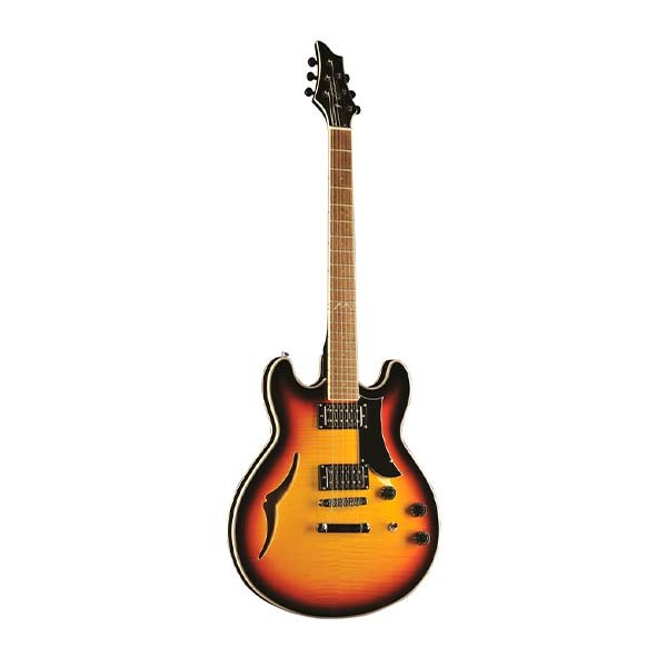 Guitarra Electrica