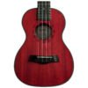 GUC-17 ROJO-2
