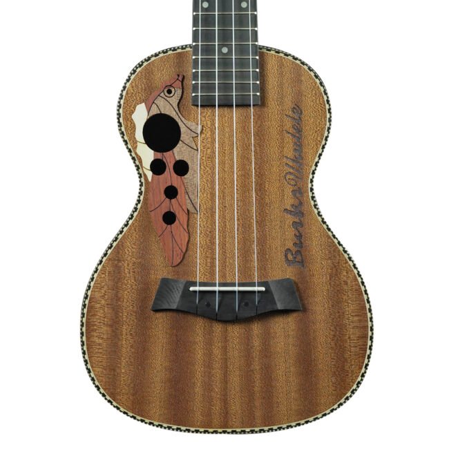 Ukelele Concierto con Diseño ”UK-24M22NAT” | Memphis