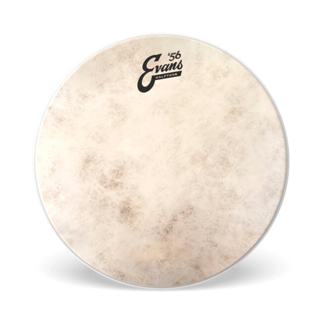 Parche Calftone de 16” para Tarola ”TT16C7” | Evans