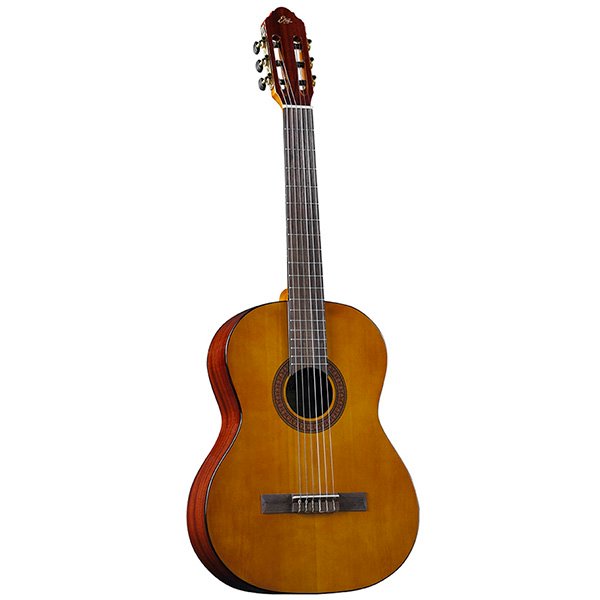 guitarra acustica eko