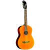 Guitarra acustica eko