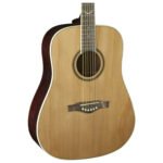 Guitarras Acústicas ”NXT D” | Eko