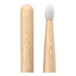 pw5bn_main_transparent