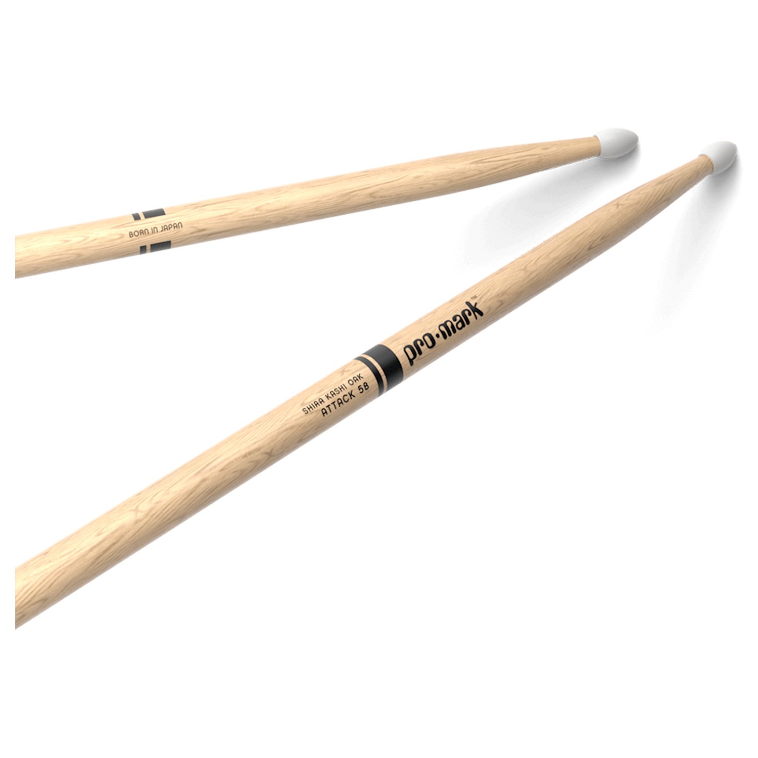 pw5bn_main_transparent