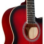 AG-39C-RDS