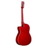 AG-39C-RDS