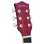AG-39C-RDS