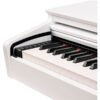 DP260-White-1-1