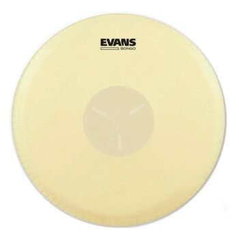 Parche para Bongo Hembra ''EB07'' | Evans