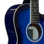 ST-250GC-C-BLS-2