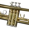 TP100L