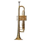 Trompeta Profesional Dorada ''TP-100LG/N'' | Hoffer