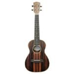 ukelele concierto