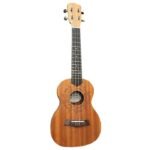 Ukelele concierto
