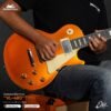 vl480-dorada