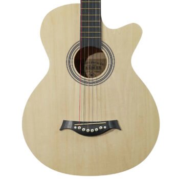 Guitarra Acústica con Cuerdas de Metal ”CAG38C” | Palmer