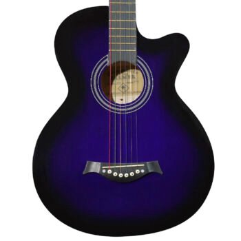 Guitarra Acústica con Cuerdas de Metal ”CAG38C” | Palmer