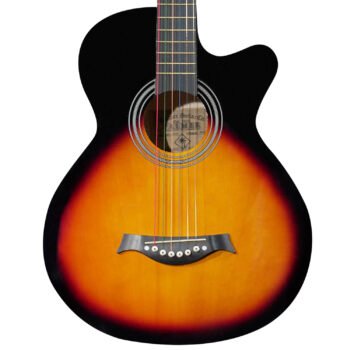 Guitarra Acústica con Cuerdas de Metal ”CAG38C” | Palmer