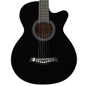 Guitarra Acústica con Cuerdas de Metal ”CAG38C” | Palmer