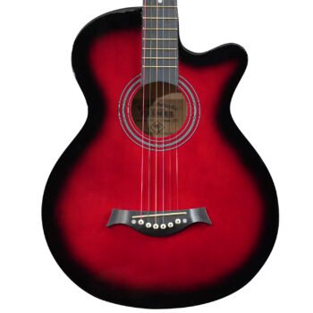 Guitarra Acústica con Cuerdas de Metal ”CAG38C” | Palmer