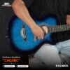 CAG38C OBB