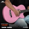 CAG38C pks