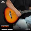 CAG38C sbs