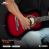 CG34 RDS