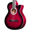 CAG100CN PPS 1
