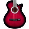 CAG100CN PPS
