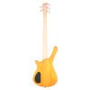 Bajo Eléctrico de 5 Cuerdas RockBass