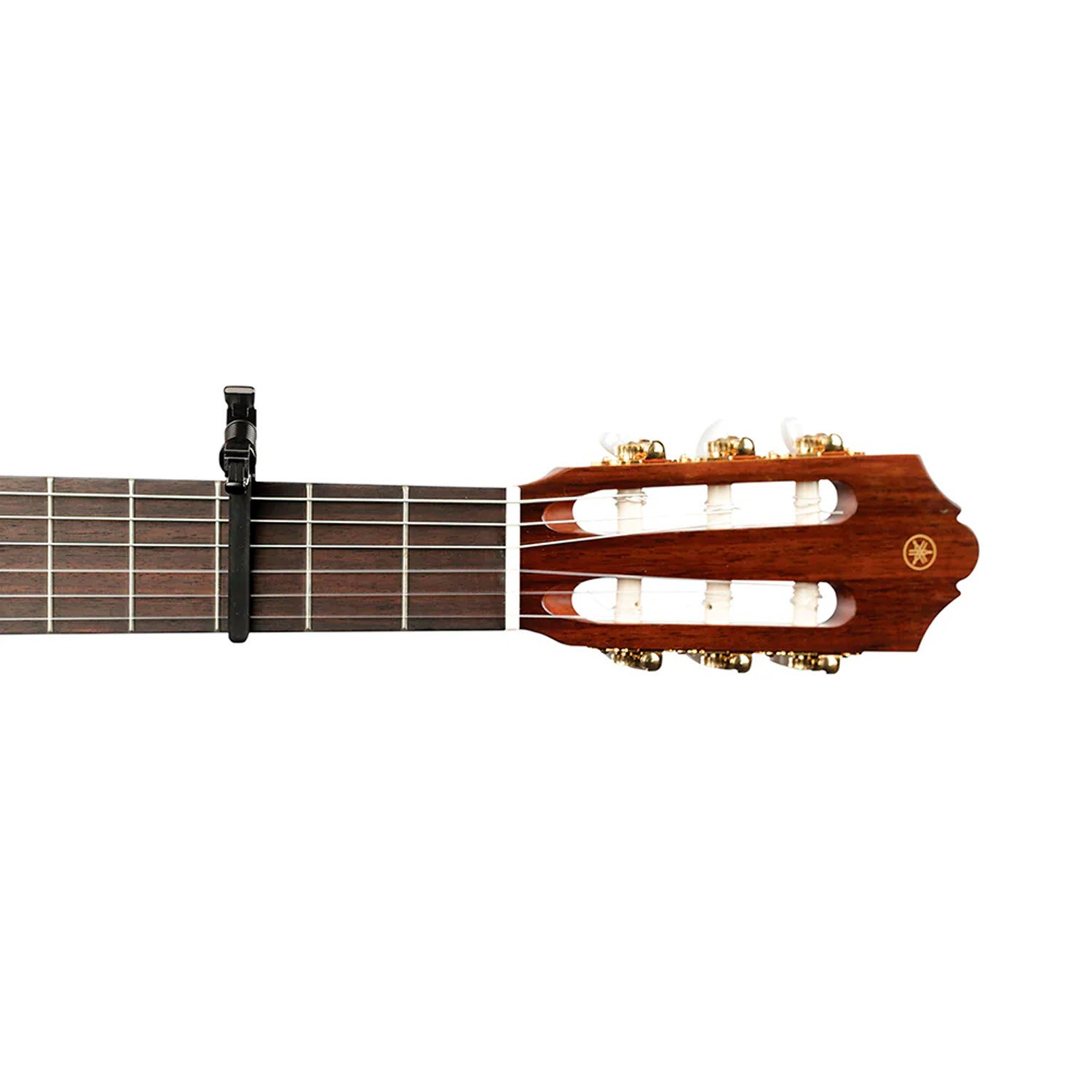 PW-CP-13