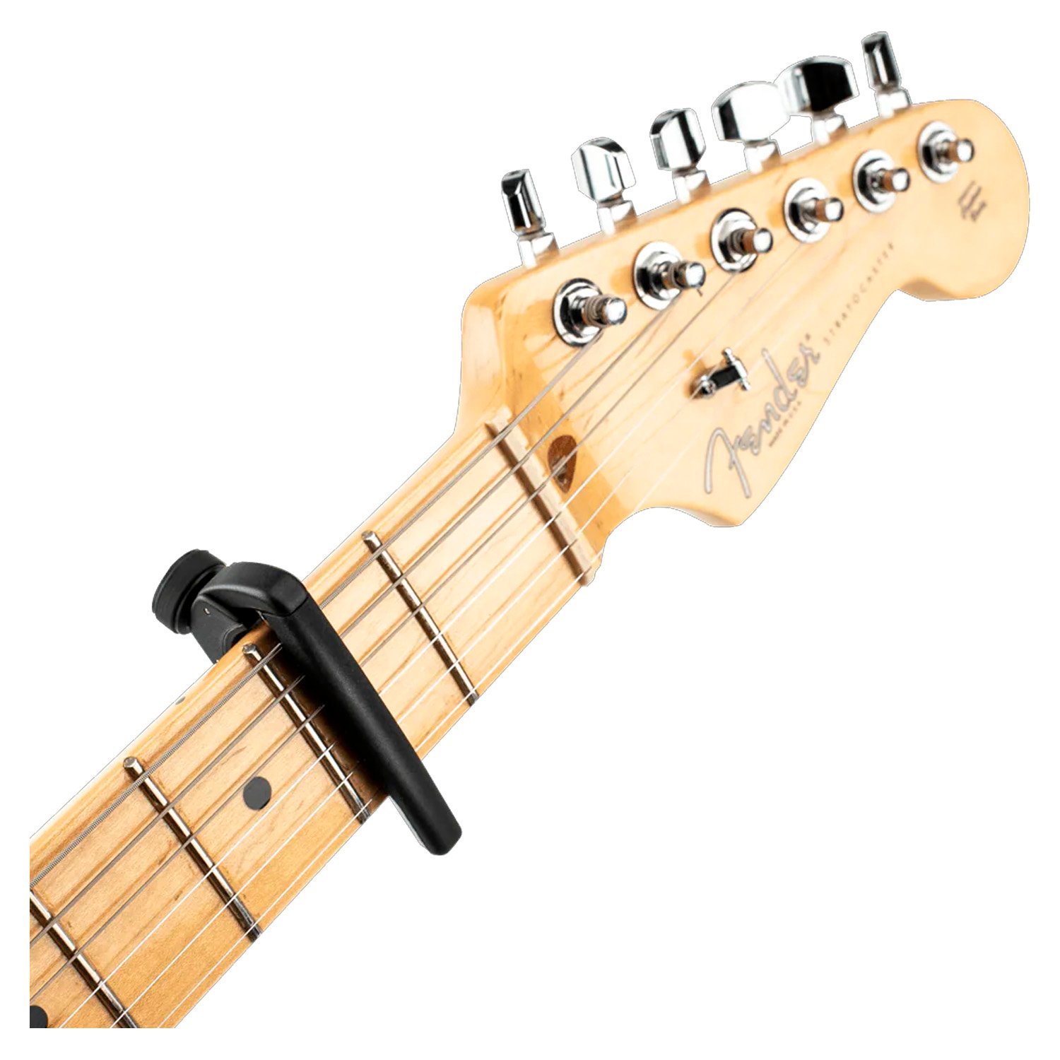 PW-CP-19-1