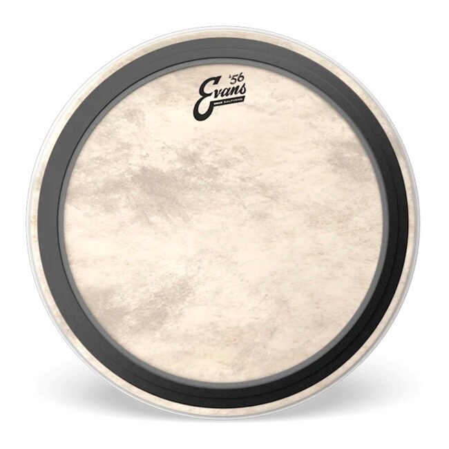 Parche Evans EMAD Calftone 22 BD22EMADCT